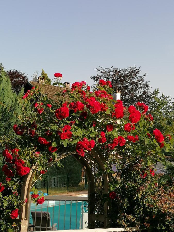 Le Domaine De Shania Provenchères-sur-Fave 외부 사진