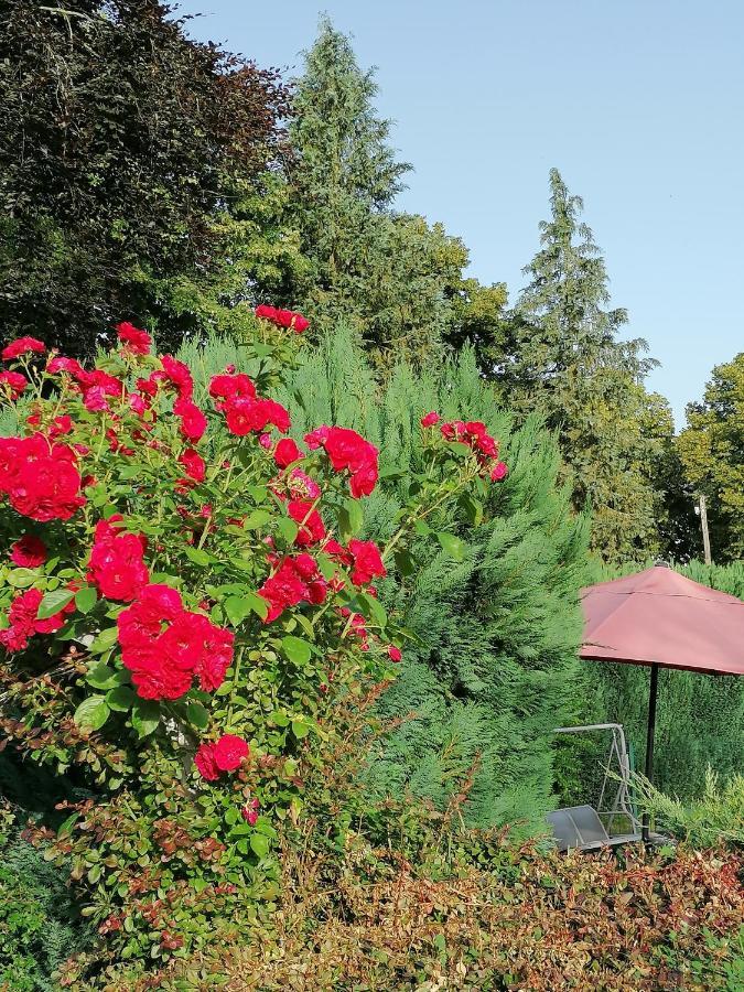 Le Domaine De Shania Provenchères-sur-Fave 외부 사진
